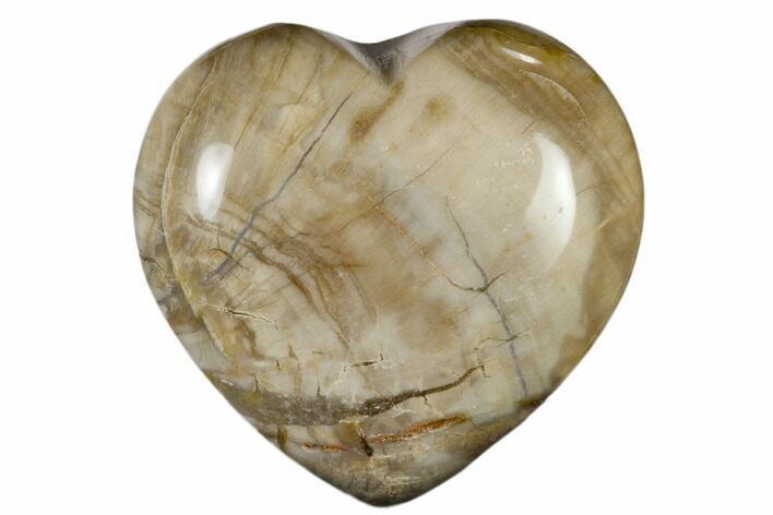 Polished, Triassic Petrified Wood Heart - Madagascar #115521